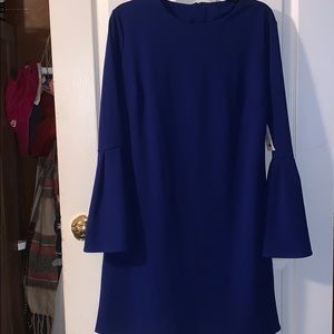 Cobalt Blue Large Knee length bell sleeve dress